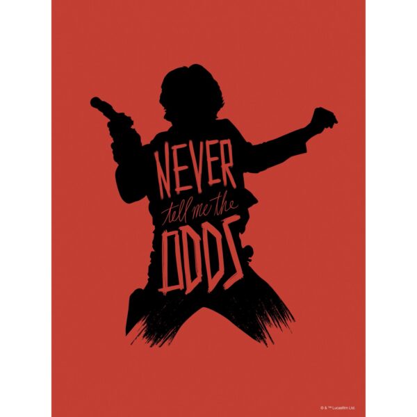 Komar Wandbild Star Wars Han Solo 30 x 40 cm gerollt