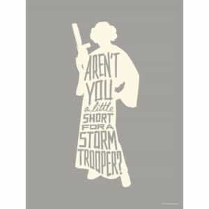 Komar Wandbild Star Wars Leia 30 x 40 cm gerollt