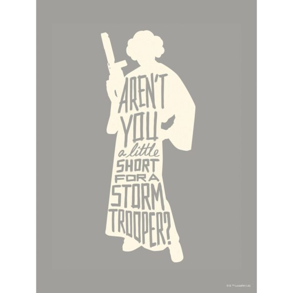 Komar Wandbild Star Wars Leia 30 x 40 cm gerollt