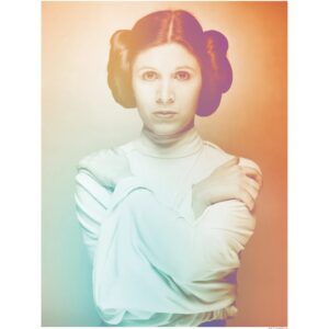 Komar Wandbild Star Wars Leia 40 x 50 cm