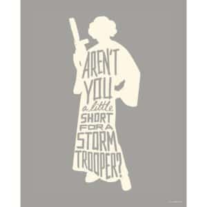 Komar Wandbild Star Wars Leia 40 x 50 cm gerollt