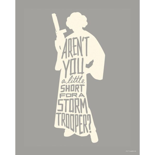 Komar Wandbild Star Wars Leia 40 x 50 cm gerollt