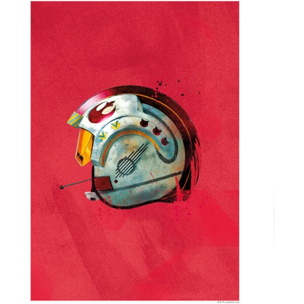 Komar Wandbild Star Wars Pilot 30 x 40 cm