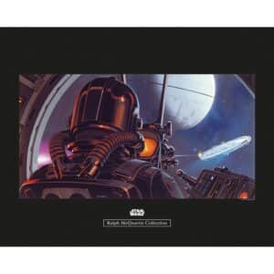 Komar Wandbild Star Wars Pilot 50 x 40 cm