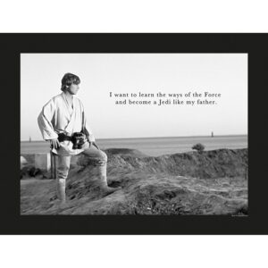 Komar Wandbild Star Wars Quote 40 x 30 cm