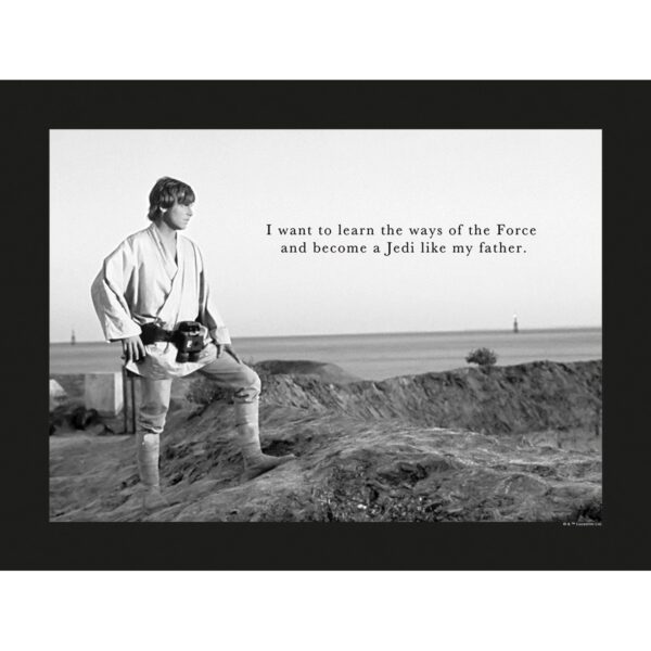 Komar Wandbild Star Wars Quote 40 x 30 cm