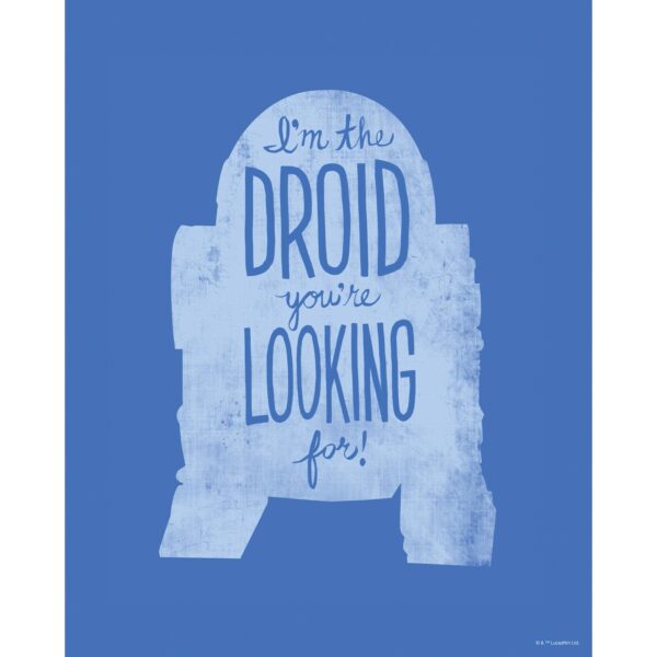Komar Wandbild Star Wars R2D3 40 x 50 cm gerollt