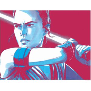 Komar Wandbild Star Wars Rey 50 x 40 cm