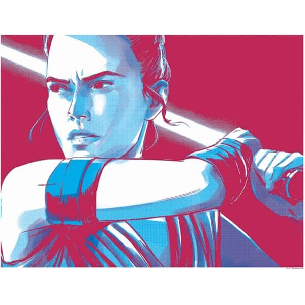 Komar Wandbild Star Wars Rey 50 x 40 cm