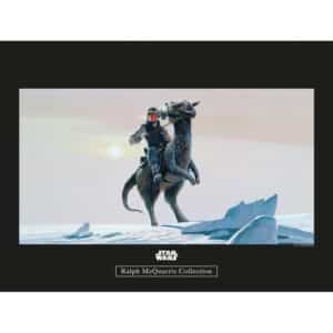 Komar Wandbild Star Wars Tauntaun 40 x 30 cm