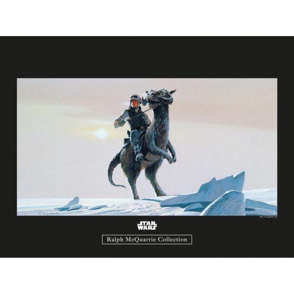 Komar Wandbild Star Wars Tauntaun 40 x 30 cm