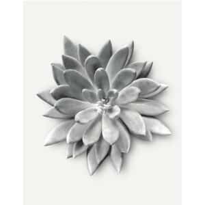 Komar Wandbild Succulent Agave 40 x 50 cm