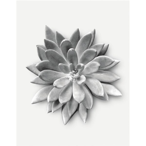 Komar Wandbild Succulent Agave 40 x 50 cm