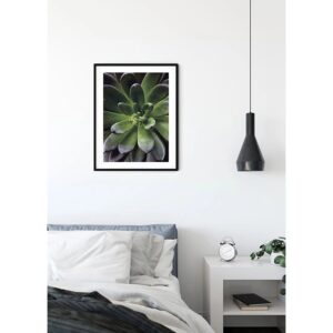 Komar Wandbild Succulent Single 40 x 50 cm