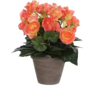 Kunstblume Begonia Lachs Topf-Ø 11