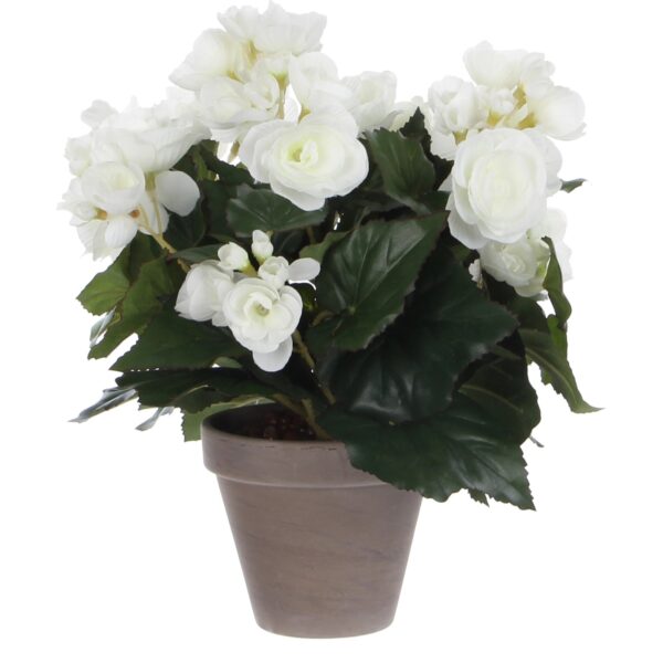 Kunstblume Begonia Weiß Topf-Ø 11