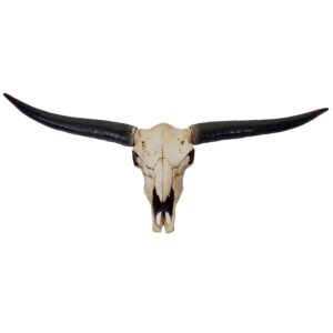 MCW Deko Schädel 132cm A14 Stier Naturfarben