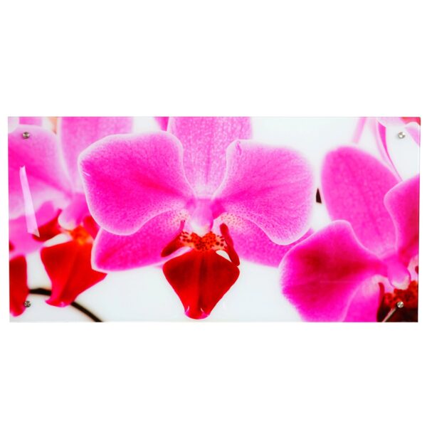 MCW Glasbild T114 50x100cm Orchidee
