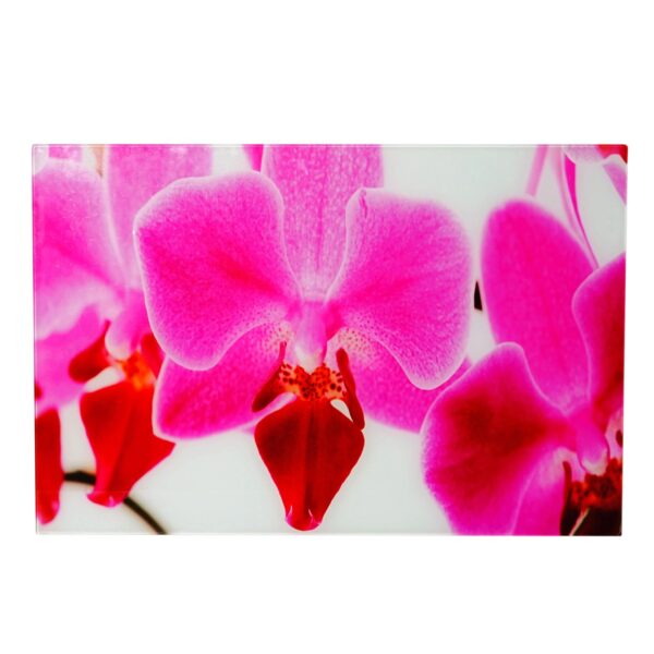MCW Glasbild T117 40x60cm Orchidee