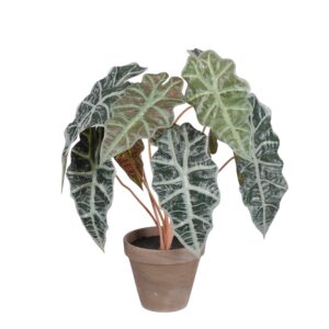 Mica Decorations Kunstpflanze Alocasia im Blumentopf Stan Ø 36 cm x 44 cm Grün