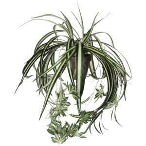 Mica Decorations Kunstpflanze Chlorophytum in Topf H 45 cm