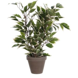 Mica Decorations Kunstpflanze Ficus Natasja in Topf Grün-Weiß H 40 cm