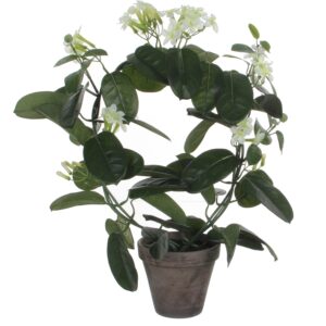 Mica Decorations Kunstpflanze Stephanotis im Blumentopf Stan Ø 40 x 50 cm Weiß