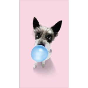 Pro Art Dekopanel Hund Chewing Gum 30 cm x 15 cm