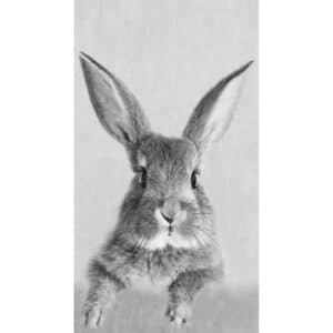 Pro Art Dekopanel Rabbit 30 cm x 15 cm