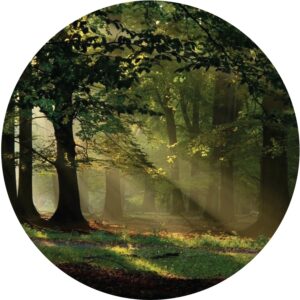 Sanders & Sanders Selbstklebende Runde Tapete Bewaldete Landschaft Grün Ø 70 cm 601097