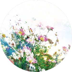 Sanders & Sanders Selbstklebende Runde Tapete Blumen Grün Rosa und Weiß Ø 70 cm 601088