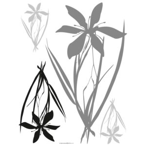 Sanders & Sanders Wandtattoo Blumen Grau und Schwarz 65 x 85 cm 600253