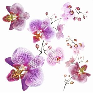 Sanders & Sanders Wandtattoo Blumen Rosa und Lila 30 x 30 cm 600338