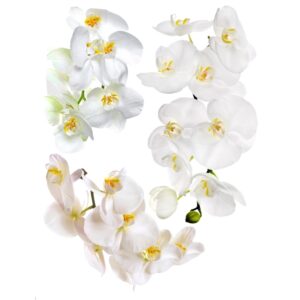 Sanders & Sanders Wandtattoo Blumen Weiß 65 x 85 cm 600283