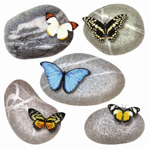 Sanders & Sanders Wandtattoo Kieselsteine Grau Gelb und Blau 30 x 30 cm 600334