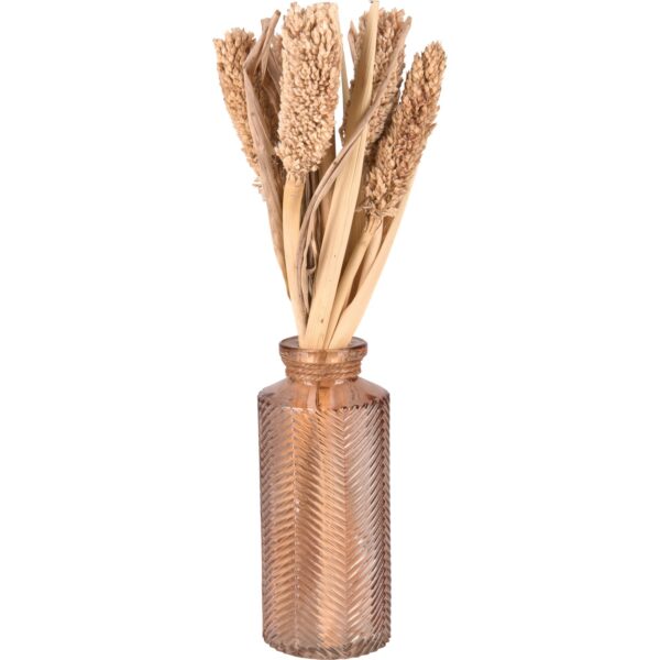 Trockenblumen in Vase Desert Flower 30 cm Hellbraun