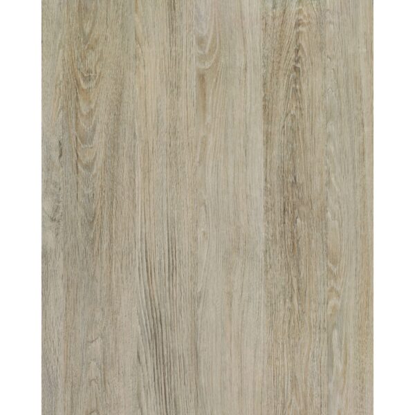 d-c-fix Klebefolie Santana Oak Kalk 200 cm x 67
