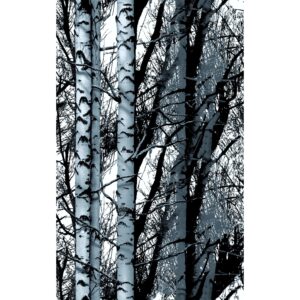 d-c-fix Klebefolie Wood 150 cm x 45 cm