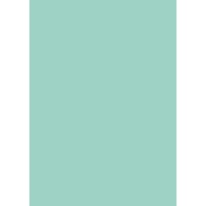 d-c-fix Selbstklebefolie Uni Lack mint 45cm x 2m